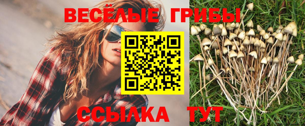 Псилоцибиновые грибы ЛСД  Псилоцибиновые грибы Magic Shrooms  Можга  Вход с VPN 